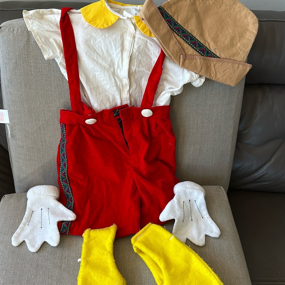 Handmade Pinocchio Shrek Halloween Costume.
